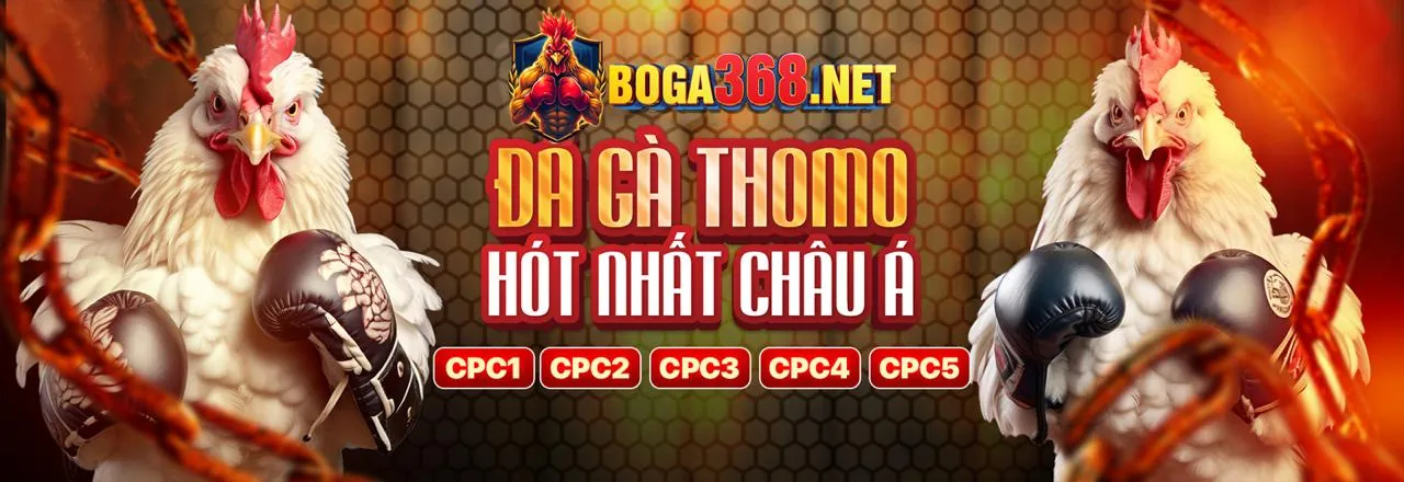 Hình ảnh các chương trình khuyến mãi và ưu đãi tại m88sut chính thức
